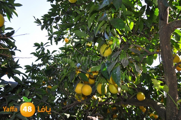 bayara visiting (4).JPG